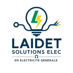 Lucas L. (LAIDET SOLUTIONS ELEC)