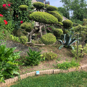 Valentin B. (Jardinier paysagiste)