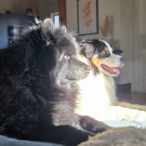 Sophie