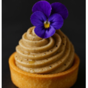 Sebastien N. (le Murmure des fleurs)