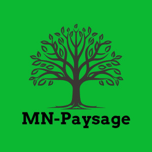 Maxime N. (MN.Pysage)