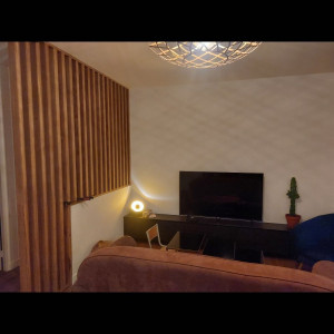 Nicolas V. (NVRenovation)