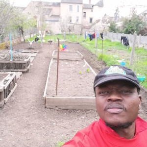 Steve Y. (YADO Services)