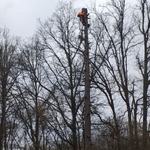 Richard B. (Solution Nature)