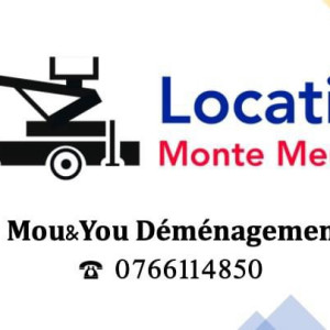 Déménageur T. (mou & you transports)