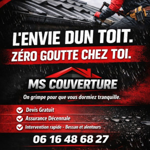 David B. (ms couverture)