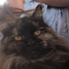 avatar Lydie Valentin Z.<