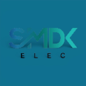 Salif S. (SMDK ELEC)