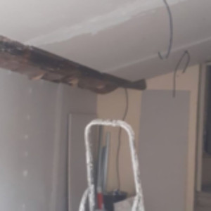 Steven H. (Horolombo steven)