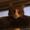 avatar Aurélien C.<