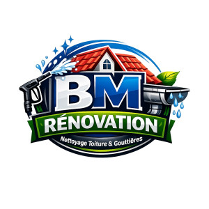Steve B. (BM Renovation)