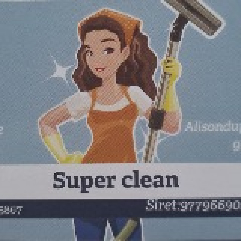 Alison Dupuis (Super clean) - Entreprise de nettoyages à Saint-Just ...