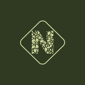 Raphael G. (EI Raphaël GRAVELAIS)