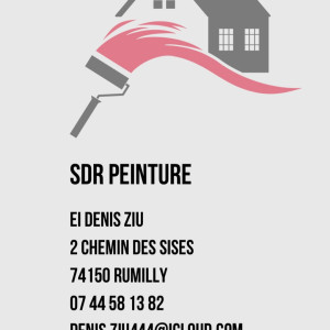 Denis Z. (SDR PEINTURE)