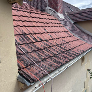 Francis H. (Espace vert)