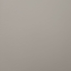 Monica A. (Ponces + Services)