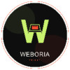avatar Thomas J. (Weboria Studio)<