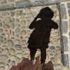 Dorothee C.