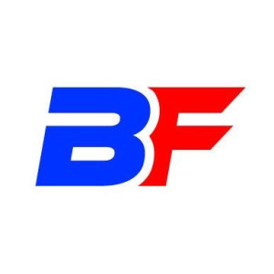 Brice F. (B.F.Multi Service)