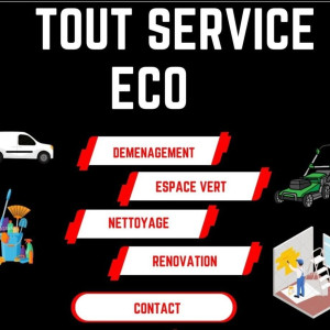 tout service plus