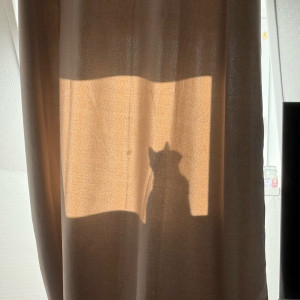 Clara B. (Au petit soins)