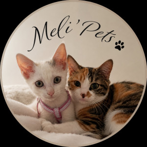 Mel E.