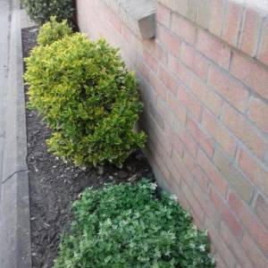 Frédéric L. (POLE SERVICES)