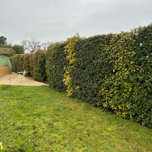 Jeff C. (Jc Elegage)