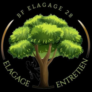 David H. (david.élagage)