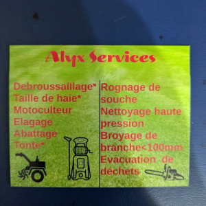Alyx B. (Alyx Services)