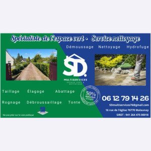 Steve D. (SDMULTISERVICES)