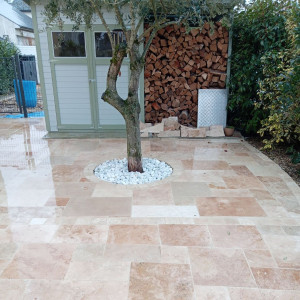 Carlos C. (multi services)