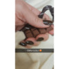 avatar Lynda D.<
