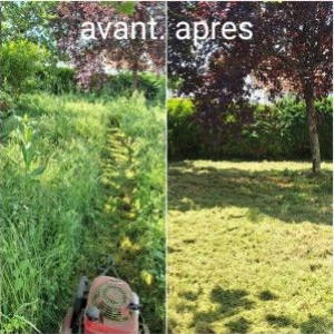 Noe U. (service d'élagage)