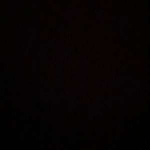 Sarah G. (Gs services)