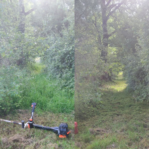 Samuel O. (Samuel Oustric)