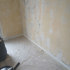 Karim Z. (Zouaoui karim)