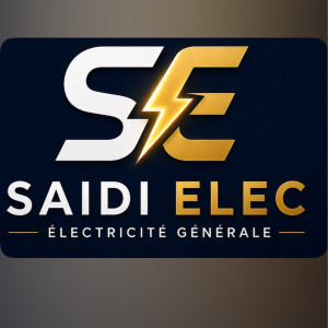 Driss S. (Saidi Elec)