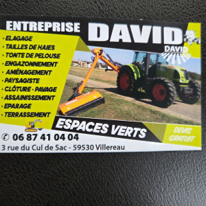 David N. (Eirl nigot david)