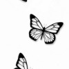 avatar Sacha V.<
