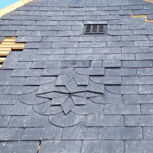 Damien T. (tenincouverture)