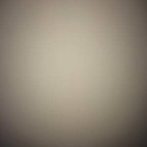 Belkacem B. (Transport Becks)