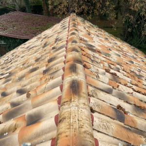 Christophe M. (Sde rénovation)