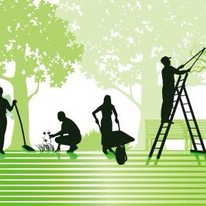 Thomas G. (Tom Atout Faire)