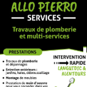 Pierre S. (Allo pierro services)