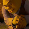 avatar Noah P.<