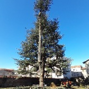 Simon W. (SW Amenagment)