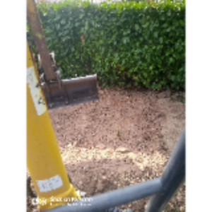 Bernard A. (AB -SERVICE)