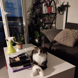 Stéphanie A.