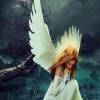 avatar Adeline M.<